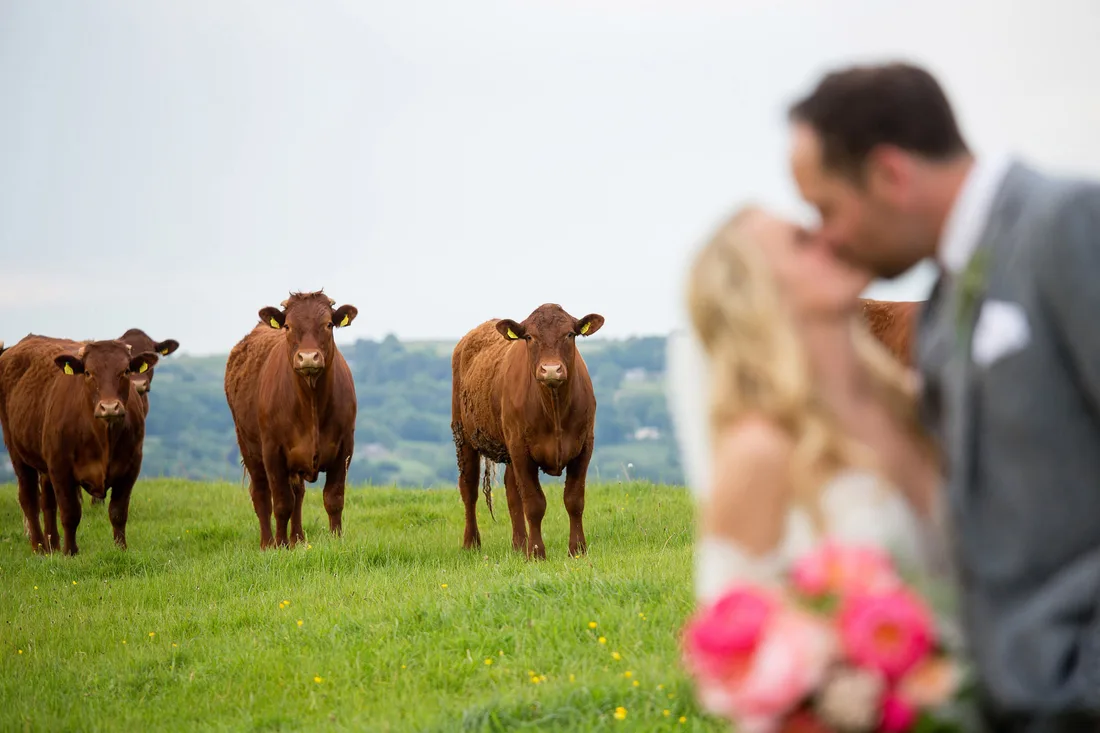 Wedding photograph 11, Martin Dabek