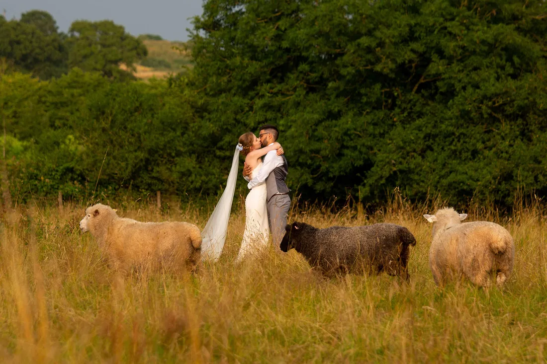 Wedding photograph 30, Martin Dabek