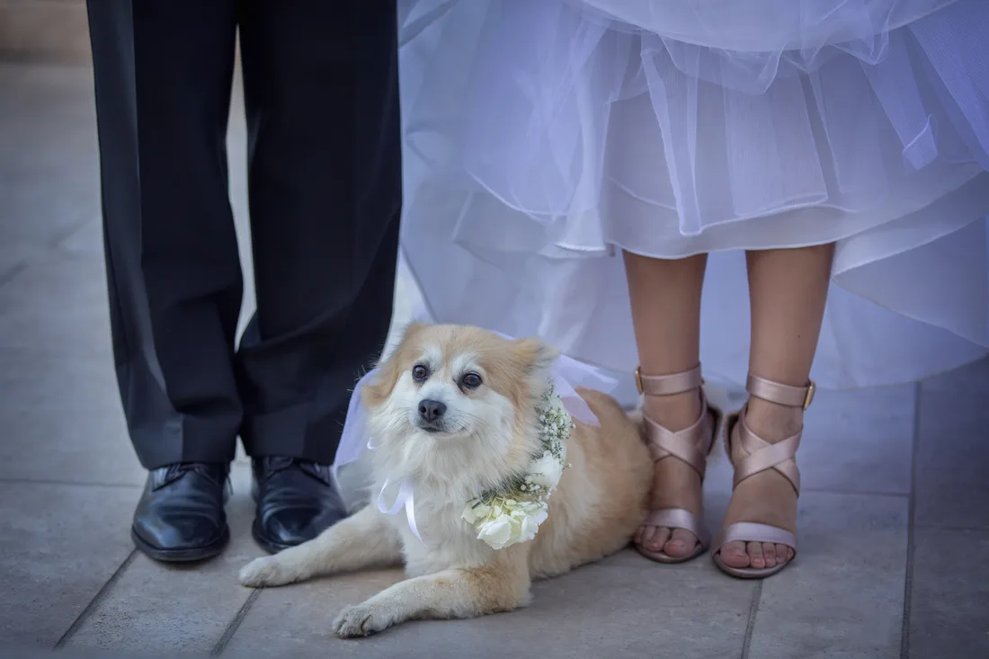 Wedding photograph 28, Joseph Weigert